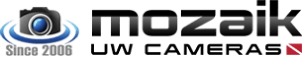 Mozaik underwater cameras Logo